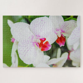 Quebra-cabeça Lindas flores brancas e vermelhas