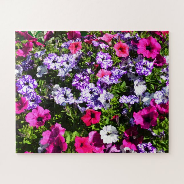Quebra-cabeça Lindas flores de petúnia (Horizontal)