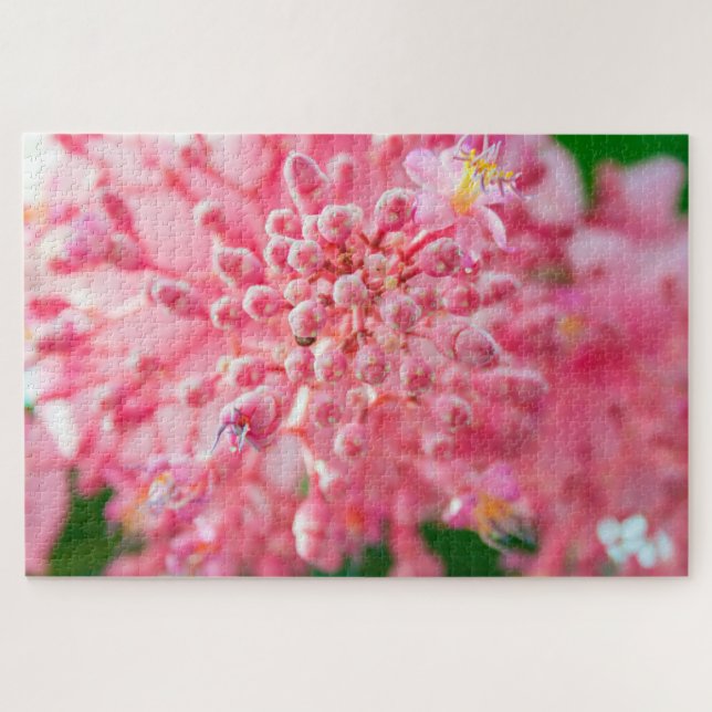 Quebra-cabeça Lindas flores rosa (Horizontal)