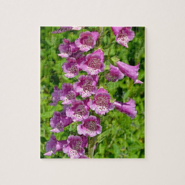 Quebra-cabeça Lindas flores rosa-foxglove (Vertical)