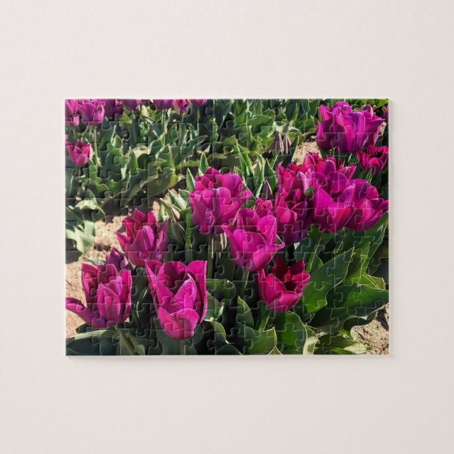Quebra-cabeça Lindas Tulipas (Horizontal)