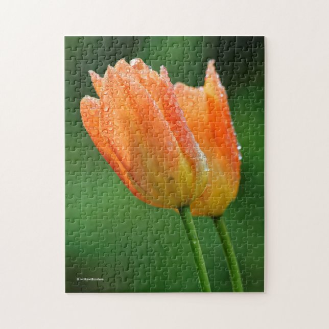 Quebra-cabeça Lindas Tulipas Laranja De Pastel Beijado Com Moinh (Vertical)