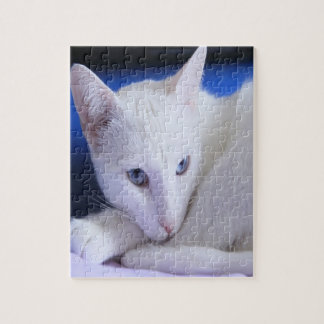 Quebra-cabeça Lindo Gato Branco/Adicione a Foto do Seu Pet