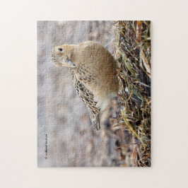 Quebra-cabeça Lindo Maçarico-de-peito-branco na Praia