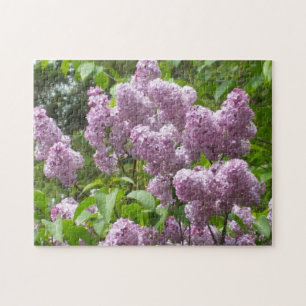 Quebra-cabeça Lindos Lilases - Fotografia Floral