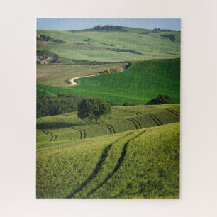 Quebra-cabeça Linhas Curvy em uma paisagem verde de Toscânia
