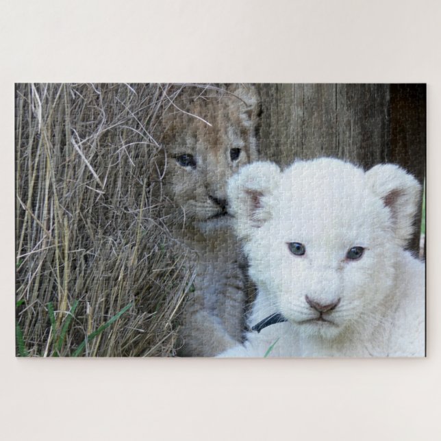 Quebra-cabeça Lion Cubs (Horizontal)