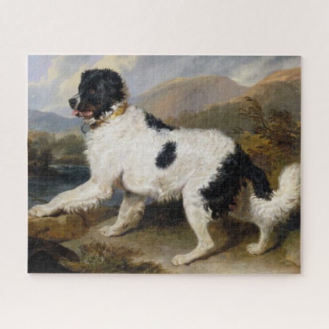 Quebra-cabeça Lion:  The Newfoundland Dog Jigsaw Puzzle (Horizontal)