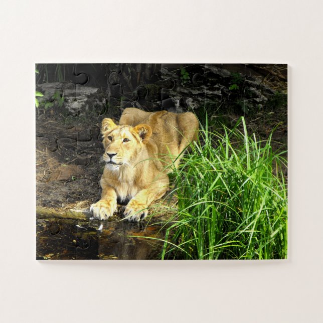 Quebra-cabeça Lionalidade (Horizontal)