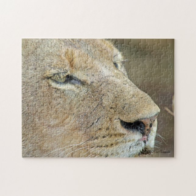 Quebra-cabeça Lioness Face (Horizontal)