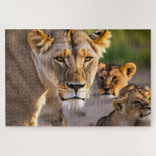 Quebra-cabeça Lioness with Cubs
