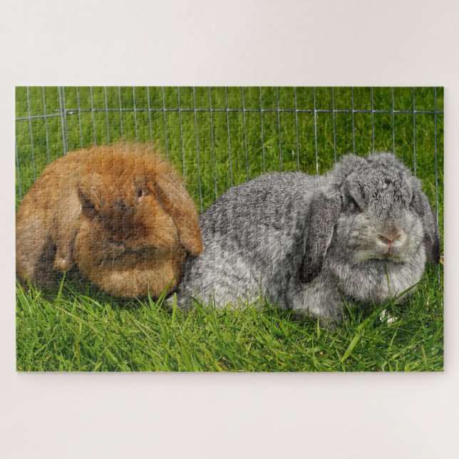 Quebra-cabeça Lionhead Holland Mini Lop Bunny Rabbit (Horizontal)