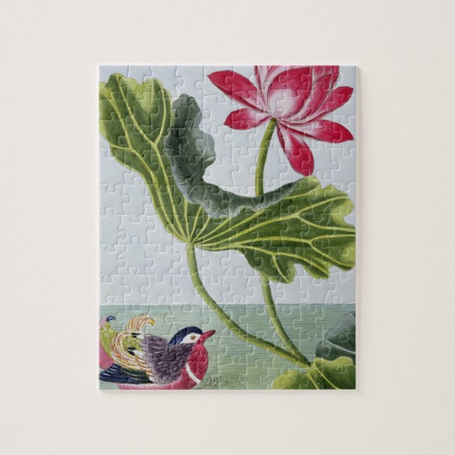 Quebra-cabeça Lírio de água vermelha chinês, volume mim, placa (Vertical)