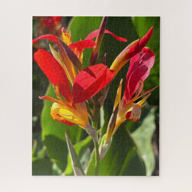 Quebra-cabeça Lírio-de-canna-vermelho, Oakland (Vertical)