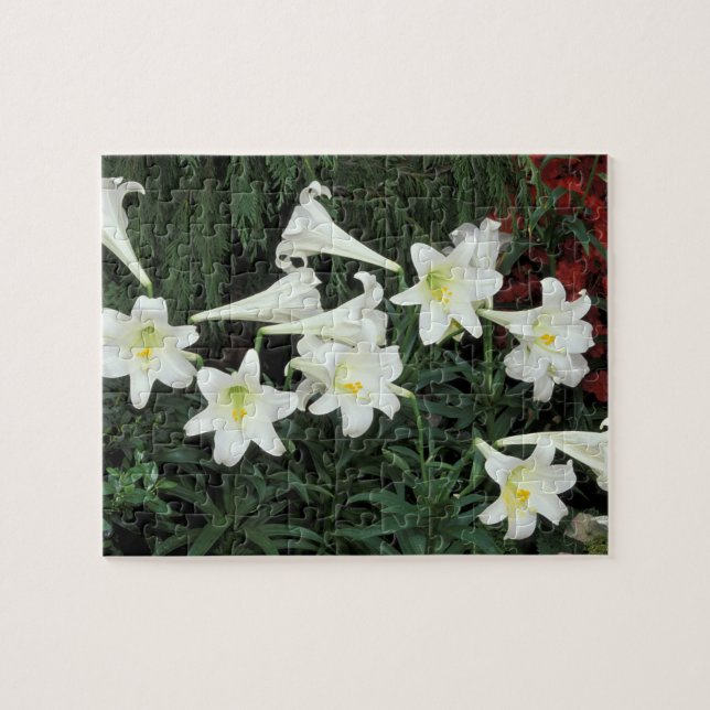 Quebra-cabeça Lírio-de-Natal (Lilium regale) (Horizontal)