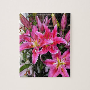 Quebra-cabeça Lírio Stargazer Rosa