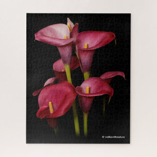 Quebra-cabeça Lírios de Calla Roxo Elegante