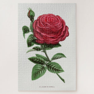 Quebra-cabeça Litografia de Rosa Antiga, François-Frédéric Grobo