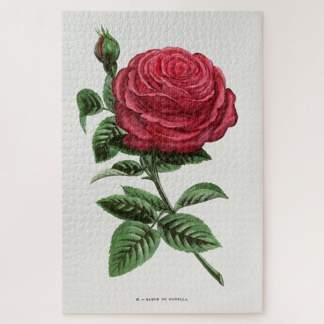 Quebra-cabeça Litografia de Rosa Antiga, François-Frédéric Grobo (Vertical)