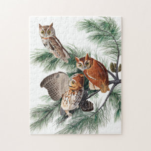 Quebra-cabeça Little Screech Owl de John James Audubon