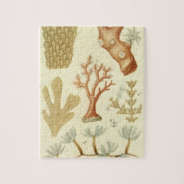 Quebra-cabeça Livro Didático de Ciências Biologia, Animais de Co