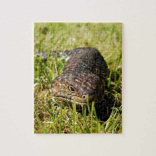 Quebra-cabeça Lizard De Língua Azul A Cair Na Grama, (Vertical)