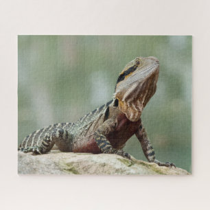 Quebra-cabeça Lizard - Dragão de Água do Leste