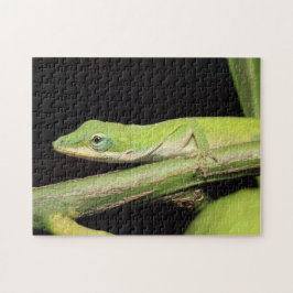 Quebra-cabeça Lizard Nature Wildlife