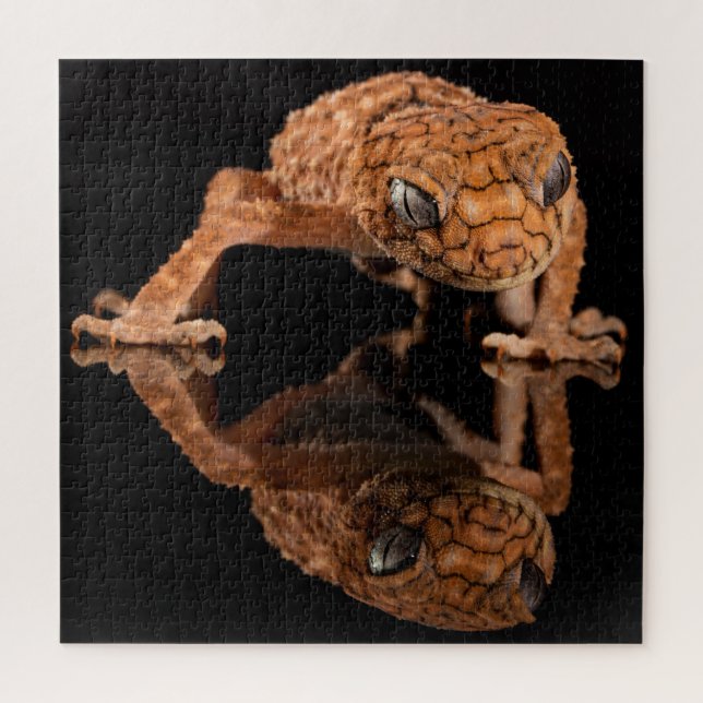 Quebra-cabeça Lizard Pequeno Cute com Reflexão (Vertical)