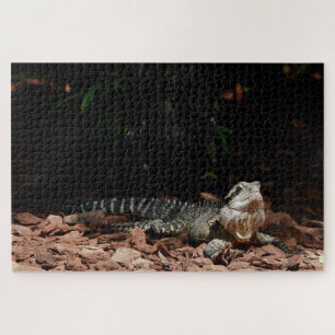 Quebra-cabeça Lizard Reptile - Dragão da Água Oriental