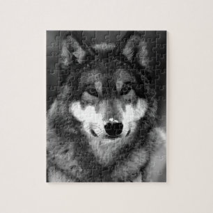 Quebra-cabeça Lobo
