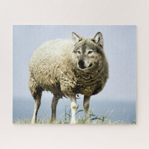 Quebra-cabeça Lobo na roupa dos carneiros