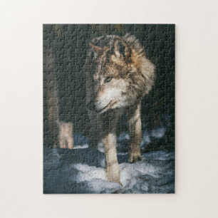 Quebra-cabeça Lobo no Animal Selvagem