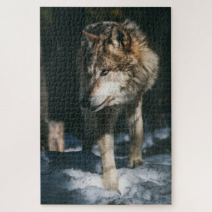 Quebra-cabeça Lobo no Animal Selvagem