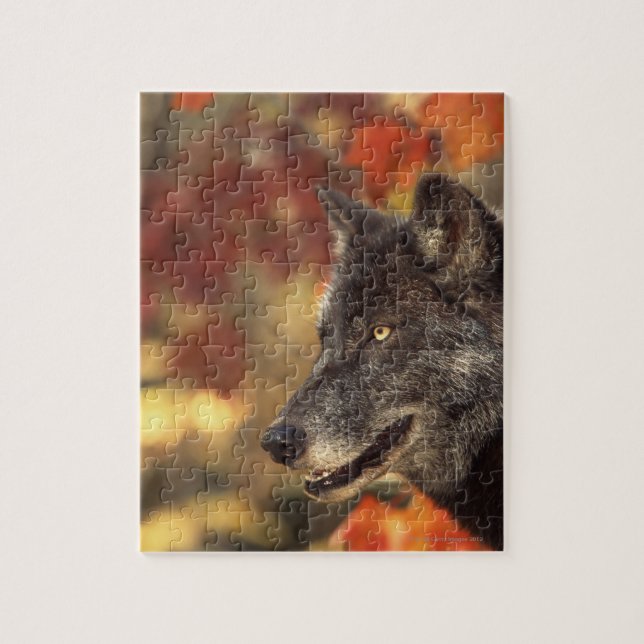 Quebra-cabeça Lobo no outono (Vertical)
