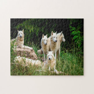 Quebra-cabeça lobo selvagem