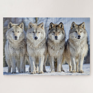 Quebra-cabeça Lobos Majestosos na Paisagem de Snowy, Vida Selvag