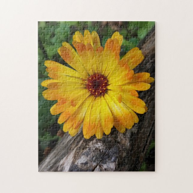 Quebra-cabeça log marigold on (Vertical)