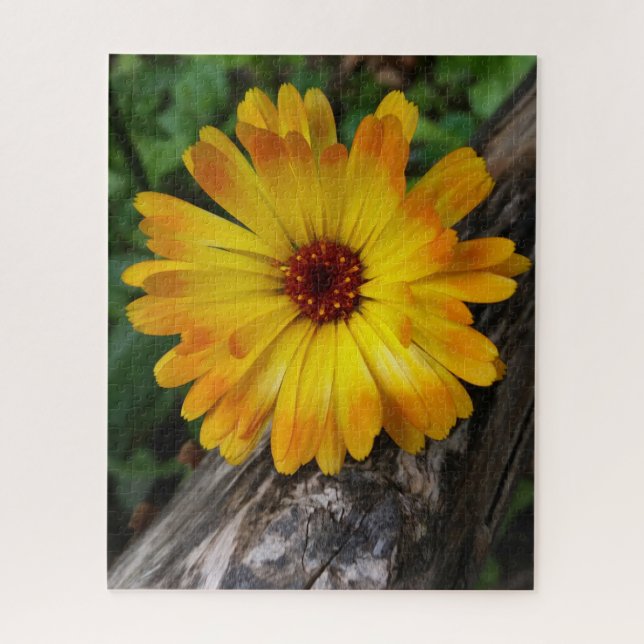 Quebra-cabeça log marigold on (Vertical)