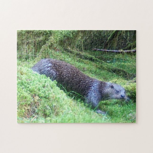 Quebra-cabeça Lontra Pacífica Ribeirinha Natureza Vida Selvagem  (Horizontal)