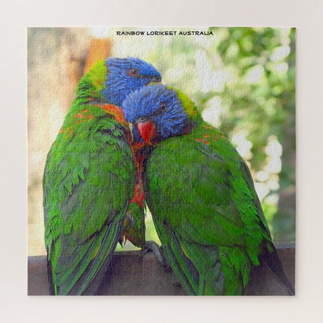 Quebra-cabeça Lorikeets Arco-íris Austrália (Vertical)