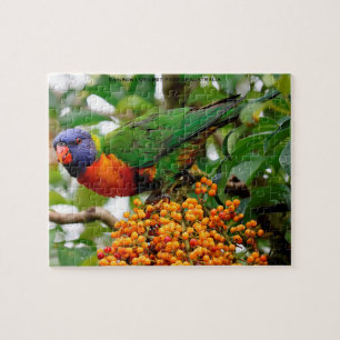 Quebra-cabeça Lorikeets Arco-íris Austrália