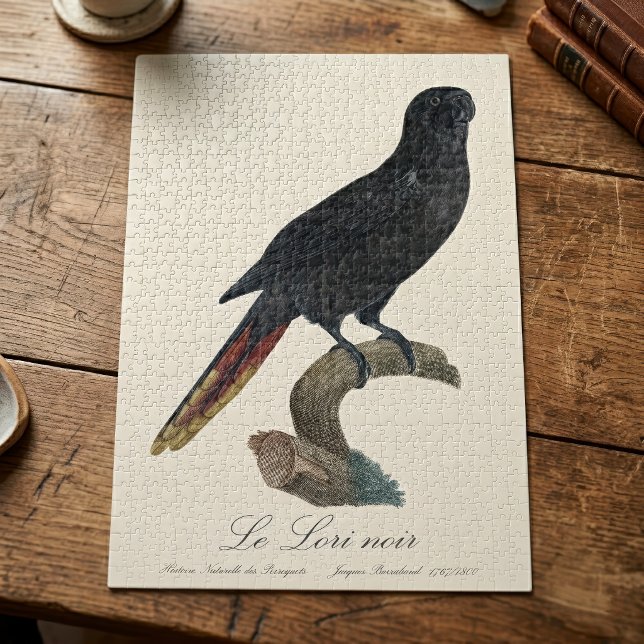 Quebra-cabeça Lóris-preto ou Chá-chá, Chalcopsitta atra (Black Lory or Red-Quilled Lory, Chalcopsitta atra. Jigsaw Puzzle)
