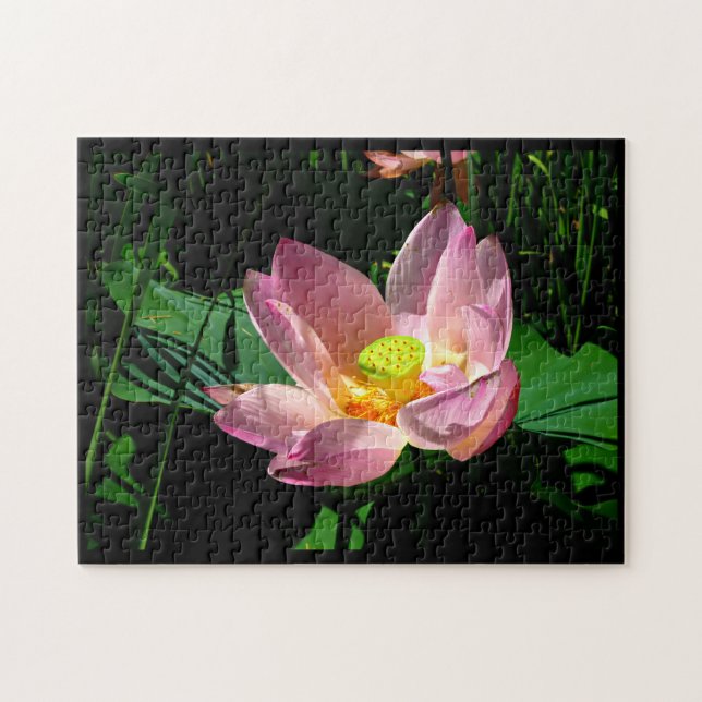Quebra-cabeça Lotus Blossom (Horizontal)