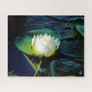 Quebra-cabeça Lotus Branco brilhante