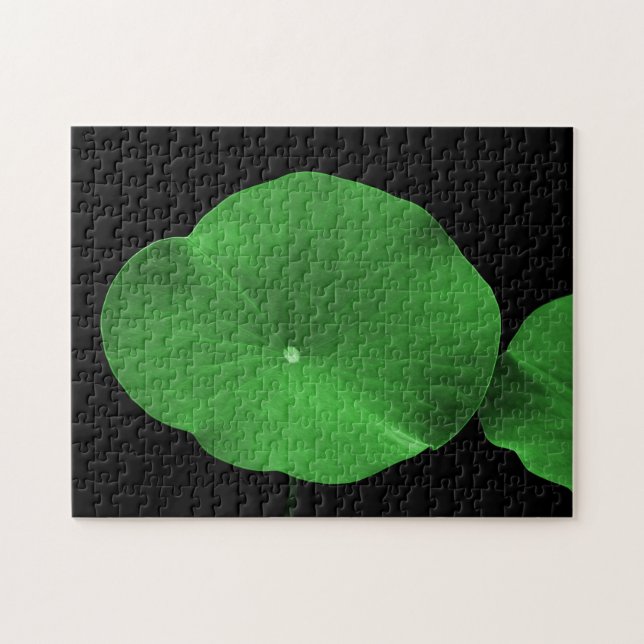 Quebra-cabeça Lotus Folaves (Horizontal)