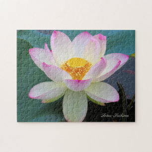 Quebra-cabeça Lotus "Suihiren" [Jigsaw puzzle: 252P] Quebra-cabe