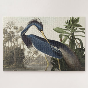 Quebra-cabeça Louisiana Heron de Birds America