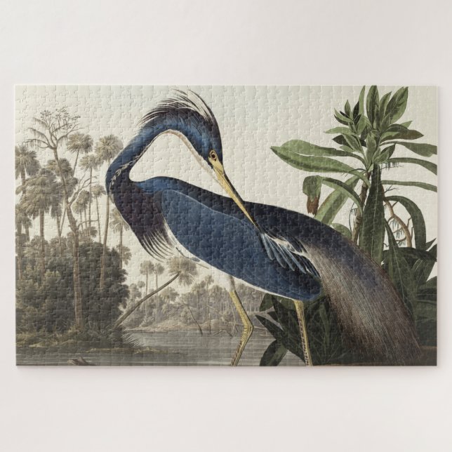 Quebra-cabeça Louisiana Heron de Birds America (Horizontal)