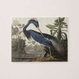 Quebra-cabeça Louisiana Heron de Birds da América